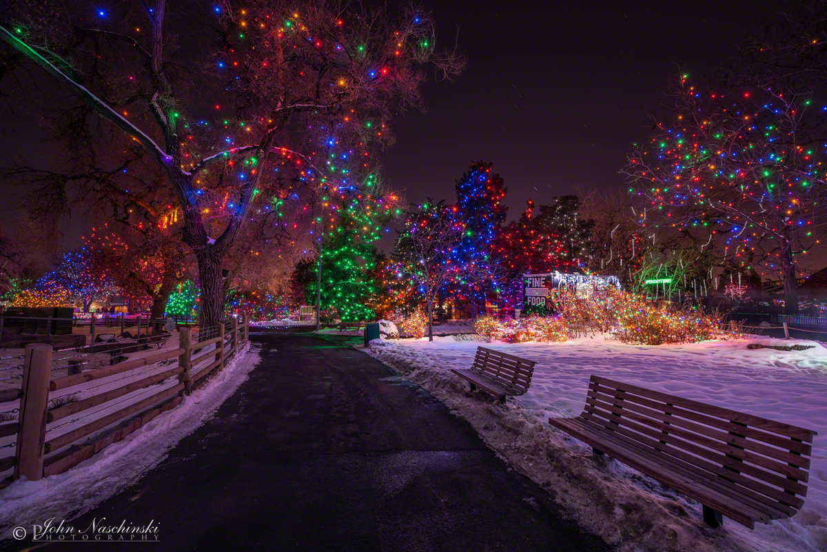 Zoo Lights at the Denver Zoo Photos