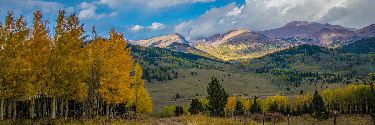 Photos of Colorado Fall Colors in Pike National Forest