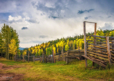 Horse Ranch off Gold Camp Road in Pike National Forest