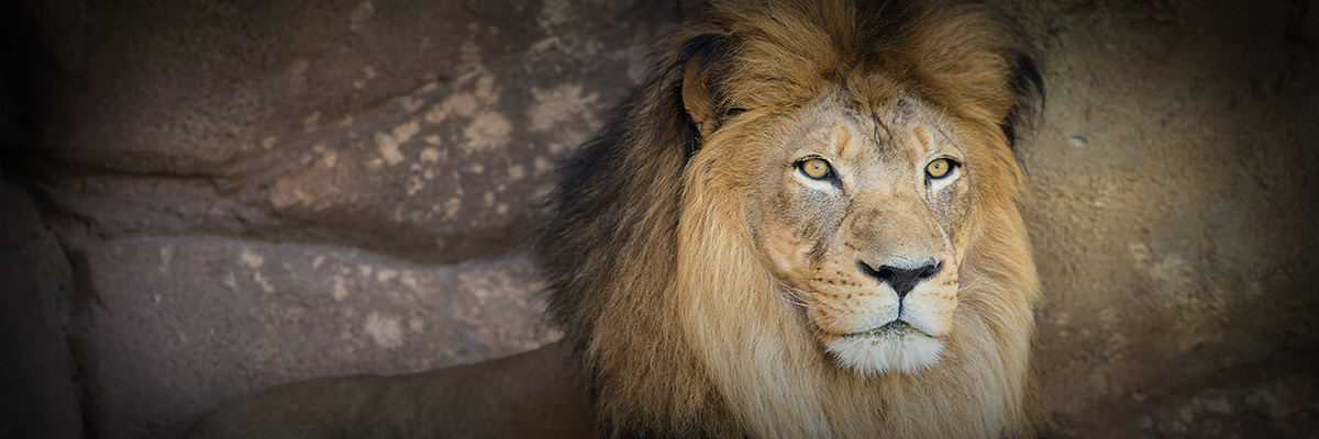 Photos from Denver Zoo