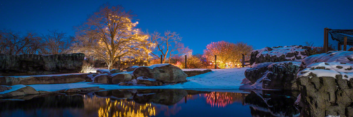 Zoo Lights at the Denver Zoo Photos