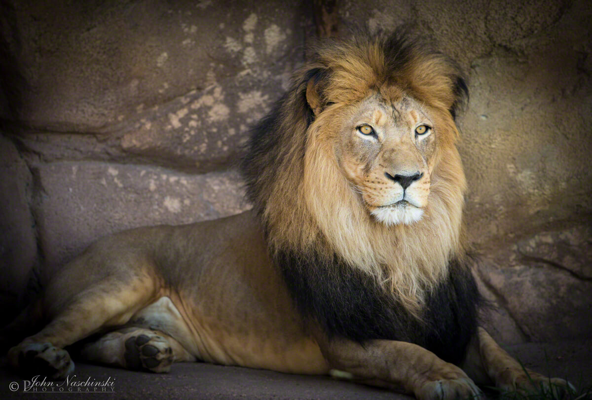 Photos from Denver Zoo