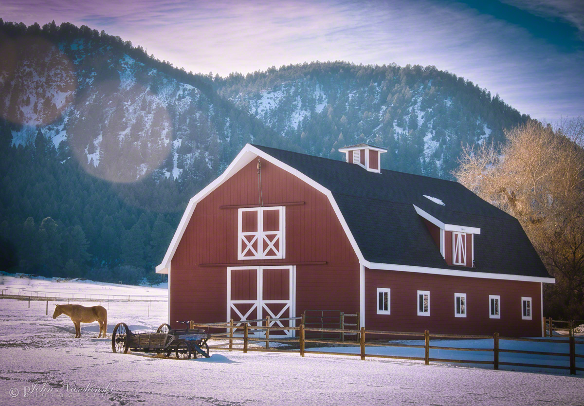 Horse and Red Barn Douglas County Colorado Scenic Colorado Pictures