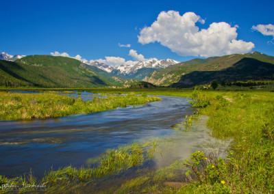 Creek at Beaver Meadows in Rocky Mountain National Park