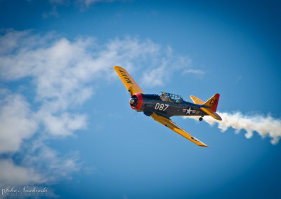 North American T6 Flyby