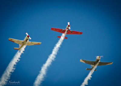 Yakolev Formation Flyby