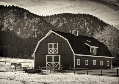 Larkspur Colorado Barn Photo 5