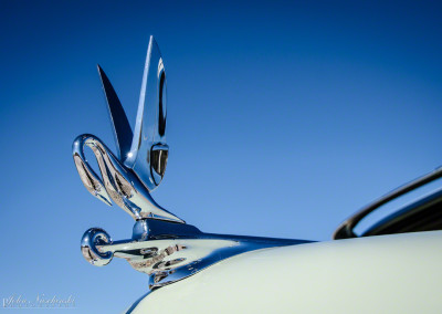 1950 Packard Hood Ornament Close Up