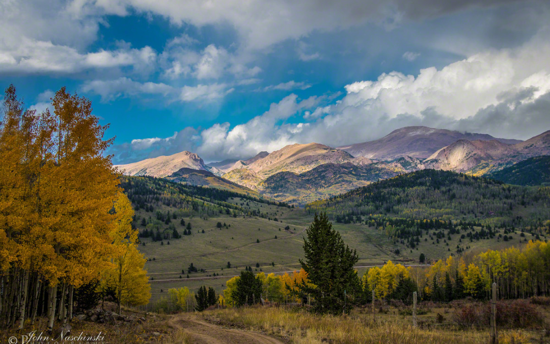 Photos of Colorado Fall Colors in Pike National Forest