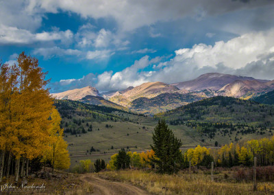 Photos of Colorado Fall Colors in Pike National Forest