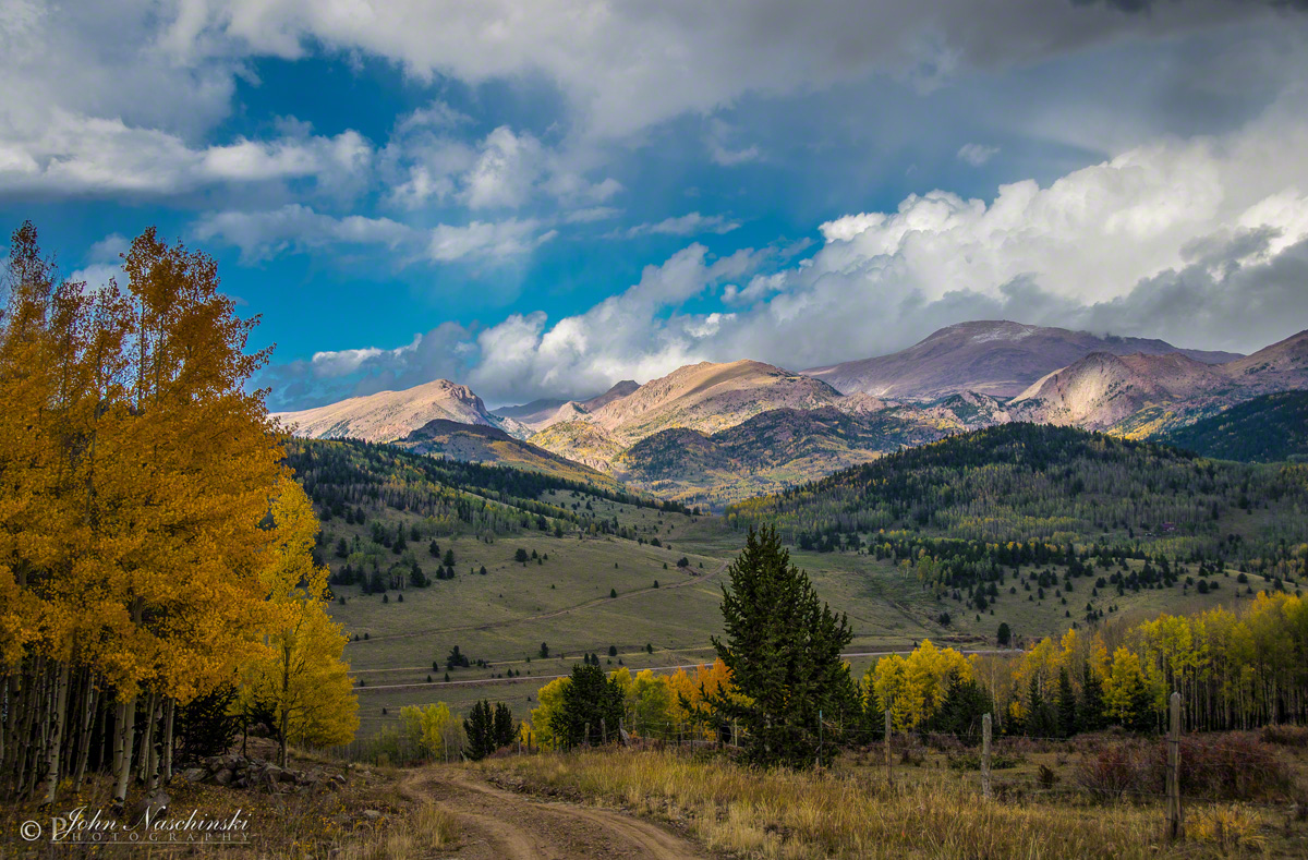 Photos of Colorado Fall Colors in Pike National Forest