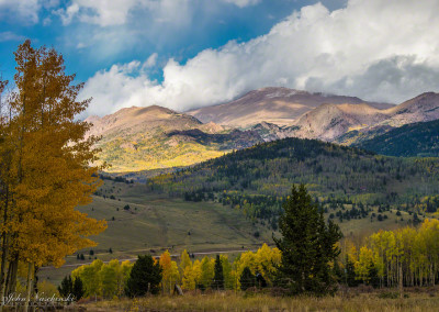 Photo of Fall Colors in Pike National Forest - Highway 81 Photo 6
