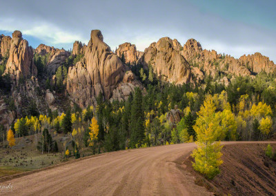 Photo of Fall Colors in Pike National Forest - Gold Camp Road Photo 2