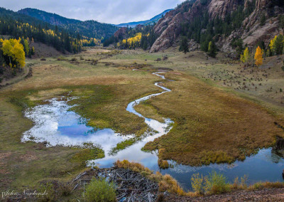 Photo of Fall Colors and Stream in Pike National Forest - Gold Camp Road Photo 5