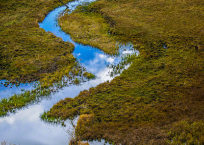 Photo of Fall Colors and Stream in Pike National Forest - Gold Camp Road Photo 6