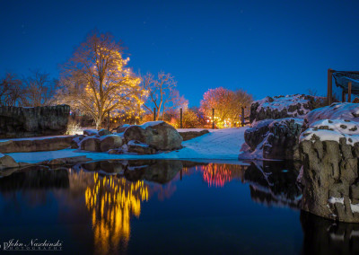 Denver Zoo Lights Photos