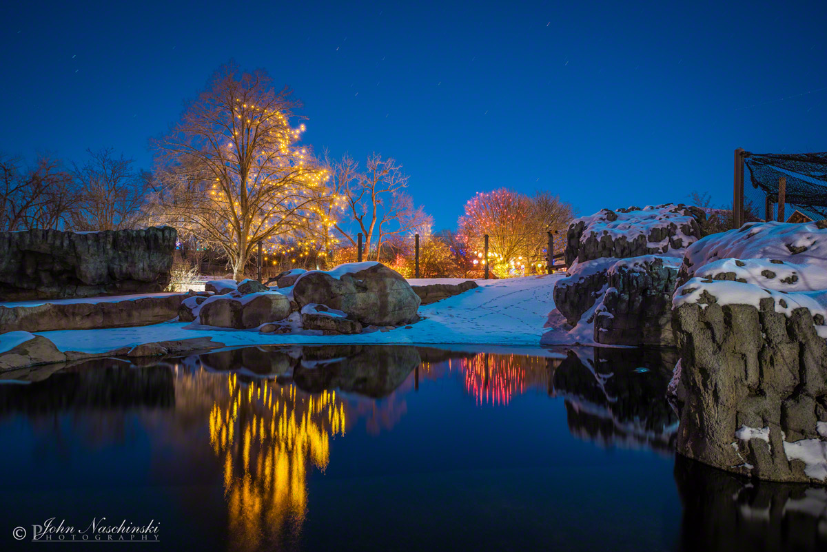 Denver Zoo Lights Photos