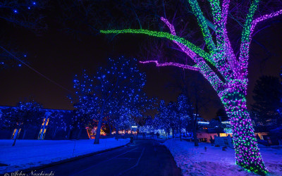 Zoo Lights at the Denver Zoo – Photos