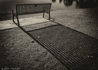 Denver City Park Bench B&W Shadows