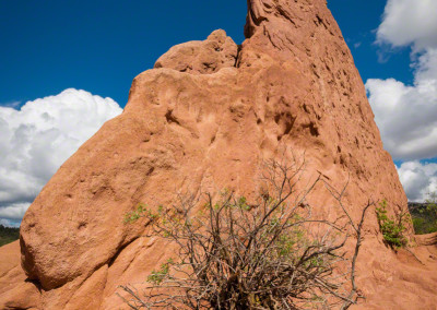 Garden of the Gods Colorado Springs Photo 28