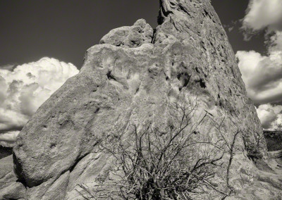 Garden of the Gods Colorado Springs Photo 27