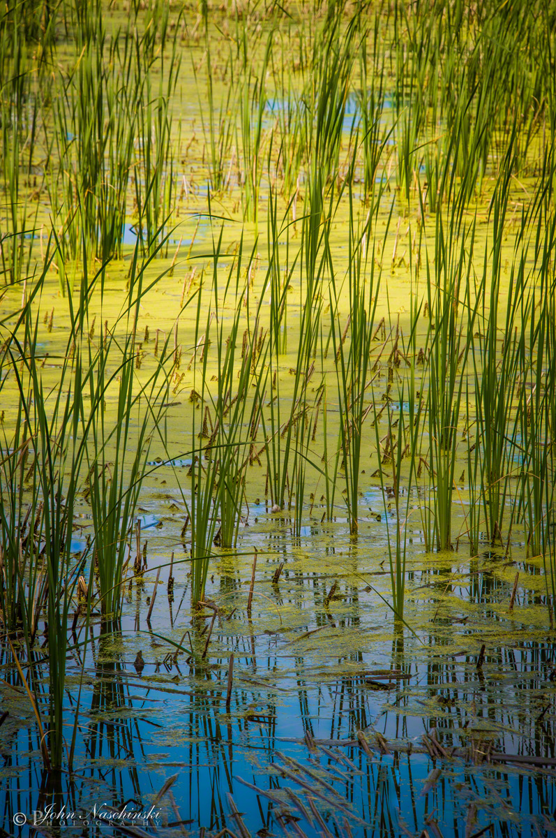 Photos of Colorado Open Space in Greeley