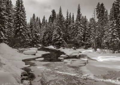 Black & White Photo of the Blue River Near Maggie Pond in Breckenridge 02