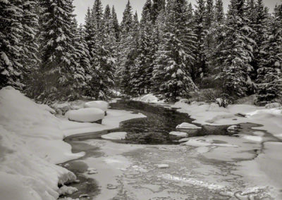 Black & White Photo of the Blue River Near Maggie Pond in Breckenridge 03