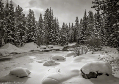 Black & White Photo of the Blue River Near Maggie Pond in Breckenridge 01