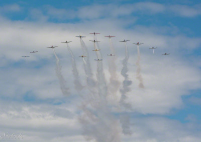 Yalolev Formation Flyby Yak-18