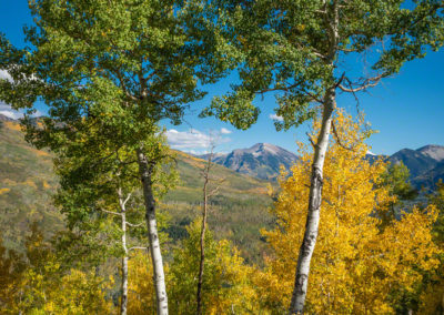 Aspen Snowmass Vistas