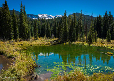 Pond off CR 12 in Crested Butte