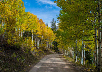 Fall Colors on CR-730 in Crested Butte Colorado