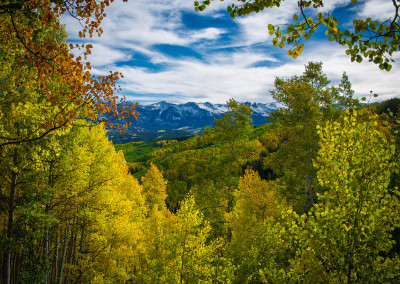 View of Fall Colors on CR-730 in Crested Butte Colorado