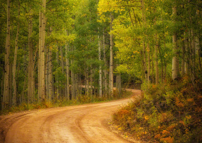 Fall Colors on Country Road in Crested Butte Colorado