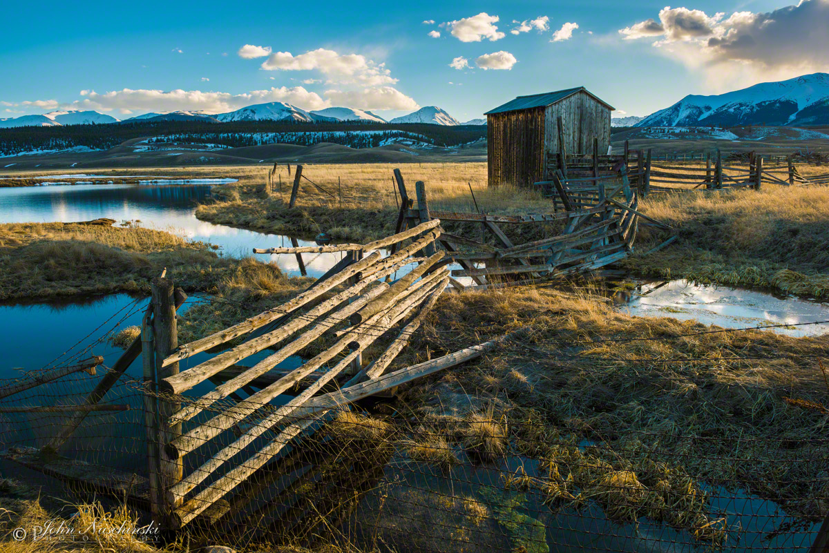 homes for sale in bell mountain ranch castle rock colorado