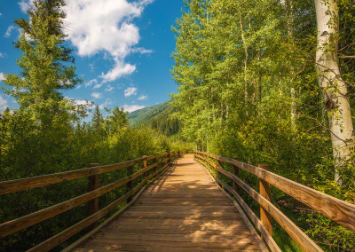 Pedestrian Bridge in Aspen Colorado