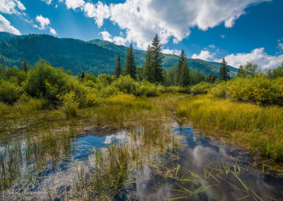 Aspen Colorado Scenic View