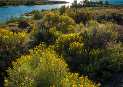 Twin Lakes - Leadville Colorado