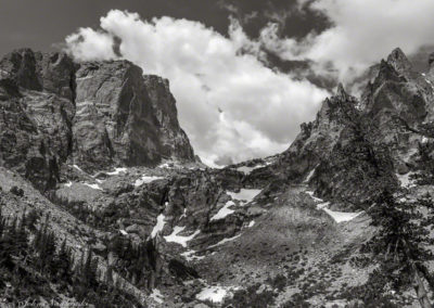 Emerald Lake B&W Close Up Rocky Mountain National Park