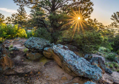 Sunrise Photo of Tree from Peak Ridgecrest Drive Colorado Springs