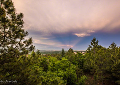 Deck View of Surrounding Woods 01