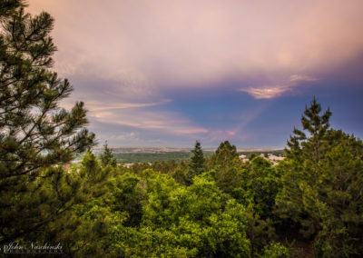 Deck View of Surrounding Woods 02