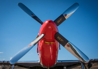 P-51D Stang Evil pn Display at Rocky Mountain Airshow - Photo 01