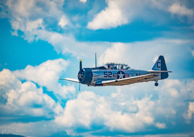 Photo of North American T-6 Texan in Flight over Colorado Skies 20