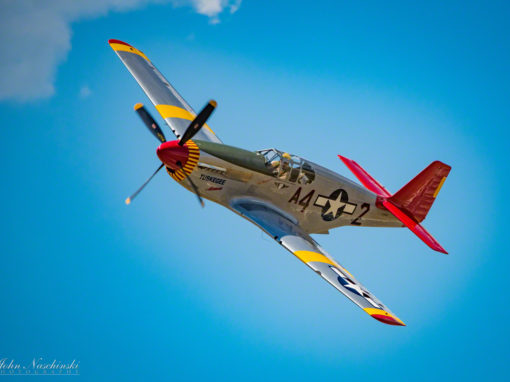 P-51 Mustang Photos of Tuskegee Airmen, February, Stang Evil