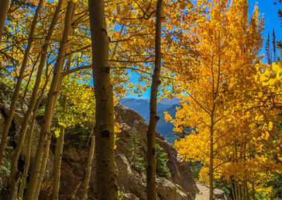 Trail to Dream Lake in Rocky Mountain National Park Fall Colors
