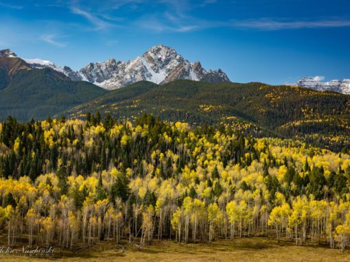 Colorado Mt Sneffels Wilderness Fall Colors