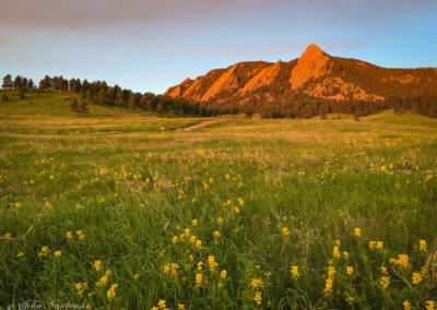 Boulder Colorado Flatirons Wildflower Photos 09