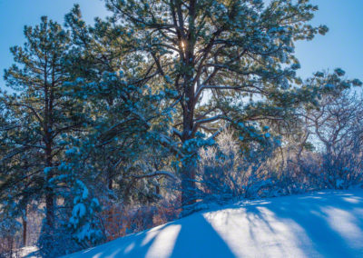 Castle Rock Colorado Photos Spring 2016 - 01